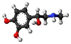 www.pixabay.com